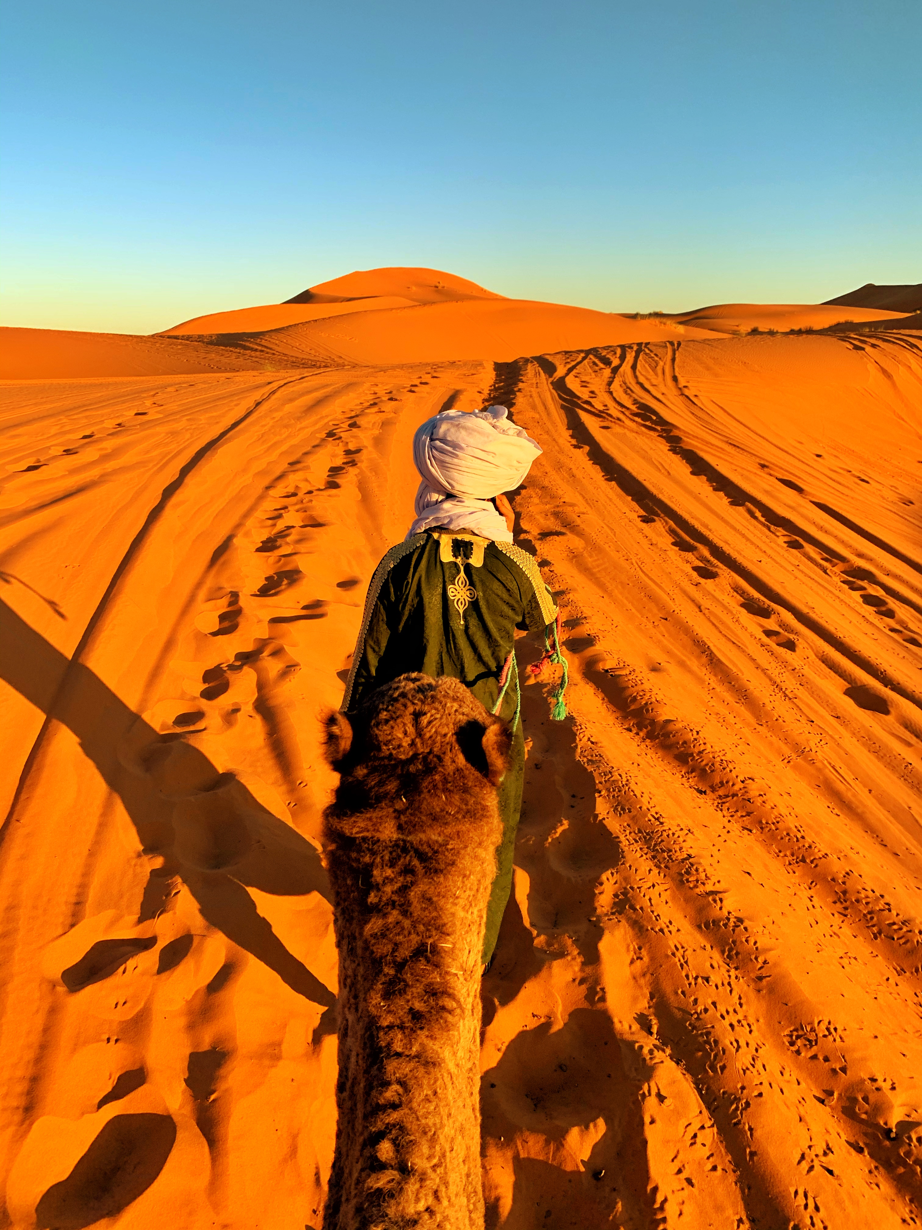 camel ride in the desert